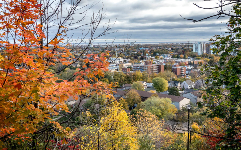 View of Hamilton in Autumn