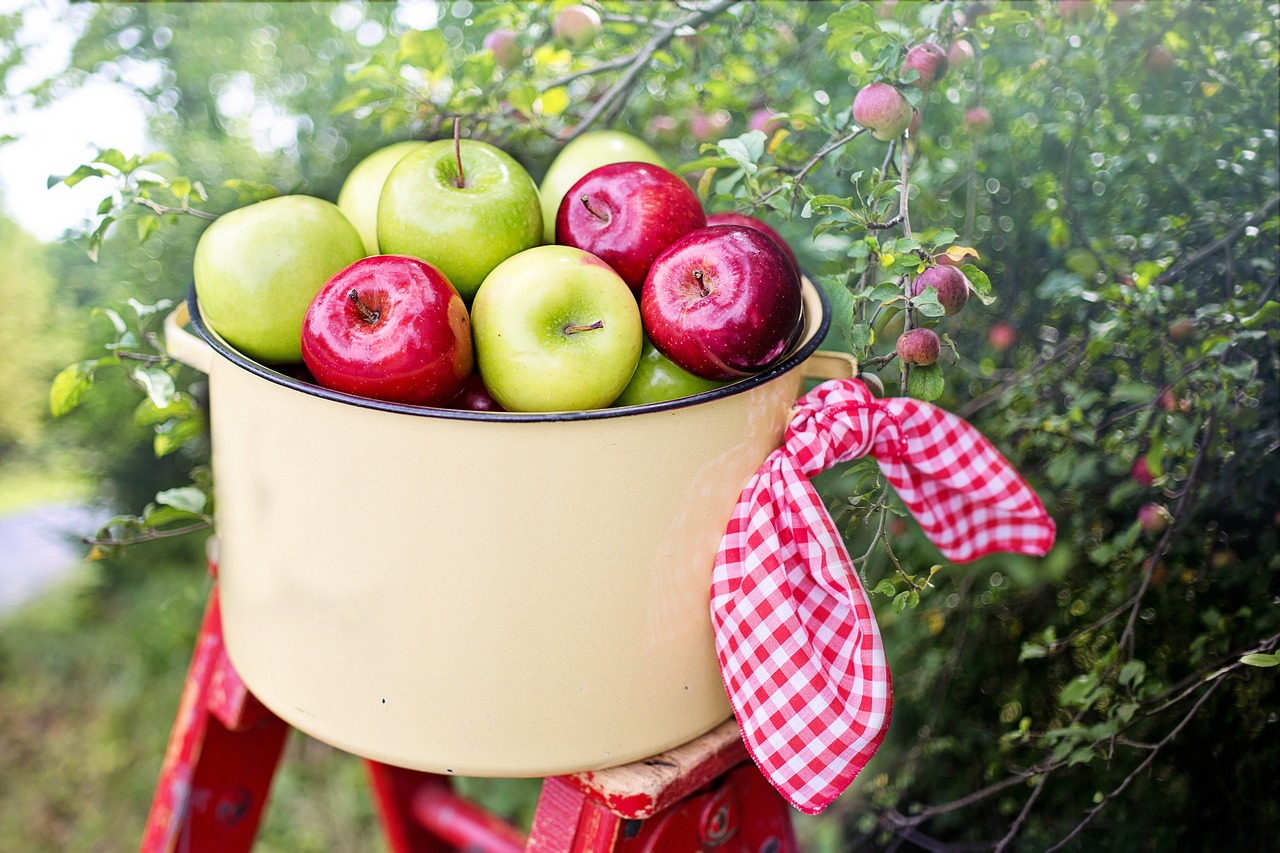 Ontario apples