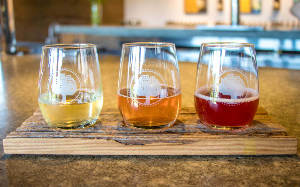 Flight of Cider from West Avenue Cider Company Outside of Hamilton