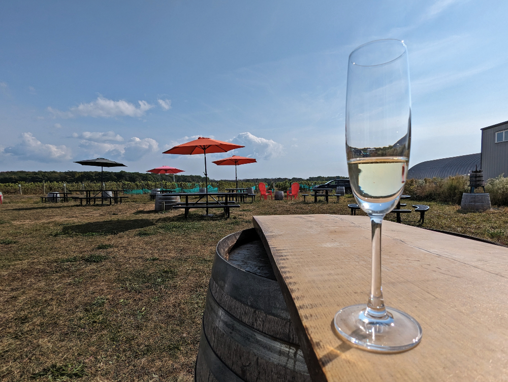 Rosehall Run Ceremony white wine on the patio